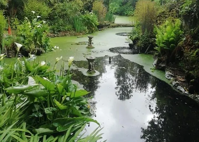 1 Chateau Bellenau בית נופש Saint-Come-du-Mont