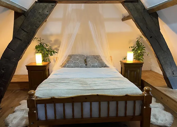 Hébergement de vacances 1 Château Bellenau *